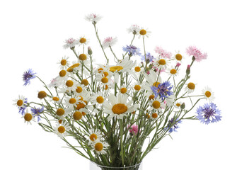 Wall Mural - Bouquet of beautiful wildflowers isolated on white