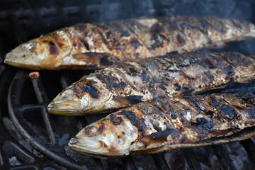 Danube Pontic shad on the grill cooking over hot wood fire, outside. Alosa immaculata barbecue cooked on campfire.