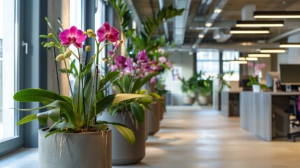 Wall Mural - Colorful orchids decorate the office corridor, adding a touch of nature to the contemporary workspace filled with natural light.