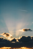 Fototapeta Konie - Sky during sunset with airplane in corner