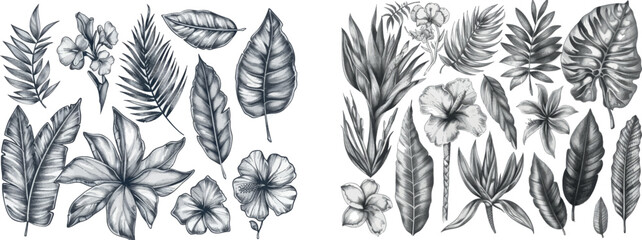 Poster - Tropical leaves drawn by hand, sketches of tropical plants, line drawings of tropical botanical monsteras.