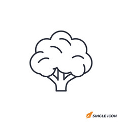 Poster - Cauliflower icon vector illustration. Cauliflower symbol isolated on white background