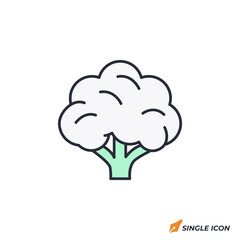 Poster - Cauliflower icon vector illustration. Cauliflower symbol isolated on white background