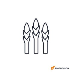Leinwandbilder - Asparagus icon vector illustration. Asparagus symbol isolated on white background