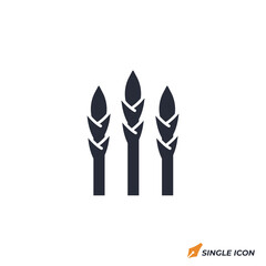 Leinwandbilder - Asparagus icon vector illustration. Asparagus symbol isolated on white background