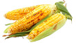 © Mrt - Delicious grilled corn isolated on transparent background. A hyper realistic photograph showcasing golden char of perfectly roasted corn on the cob.