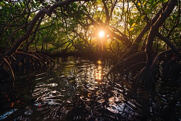 Wall Mural - Sunlight filtering through dense mangrove roots in a serene wetland environment.