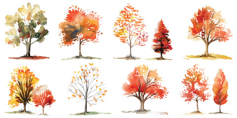 Set collection of fall oak maple autumn tree bush hand drawn watercolor design resources elements