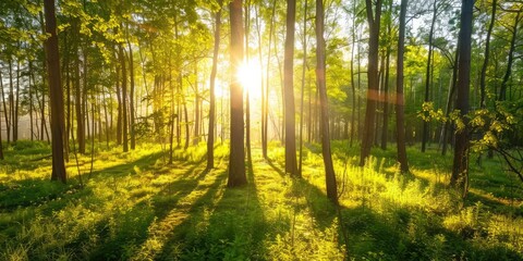  Beautiful morning in a sunny green forest. AI generation