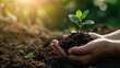 © Patryk - Ręka trzymająca ziemię z sadzonką