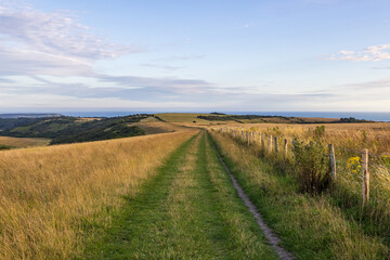 Poster - A sunny evening in the South Downs with a pathway through fields and the sea in the distance