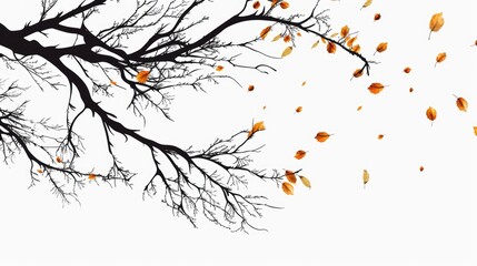 Wall Mural - silhouetted tree branch with falling leaves on white background