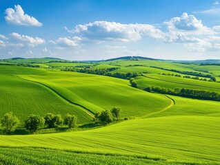 Lush green rolling hills under bright blue sky with fluffy white clouds in afternoon light