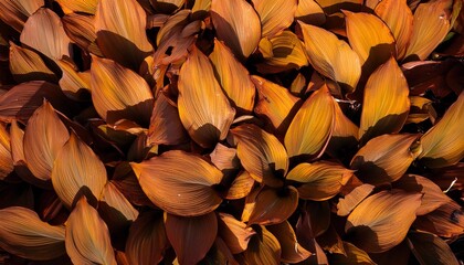 Sticker - overhead view of lily of the valley leaves in rust at lake neusiedl in burgenland austria