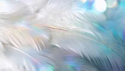 closeup of iridescent and shiny white dreamy bird feathers