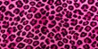 © BondGraphics - Pink Leopard Print Furry Texture, Animal Print , Leopard Texture, Furry , Pattern