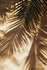 Poster - A palm leaf casting a shadow on warm sandy beach