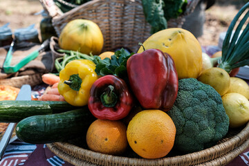 Vegetables from garden 