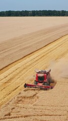 Wall Mural - Red harvester going slowly through the ripe field of wheat. Modern combine working in the beautiful vast plantation. Aerial view. Vertical video