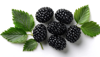 black berry with green leafs isolated on white background