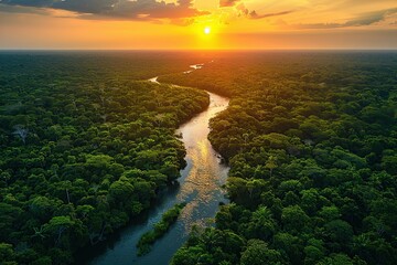 Sticker - Aerial View of a River Winding Through Lush Rainforest at Sunset