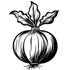 Wall Mural - Hand-Drawn Turnip Vector Illustration