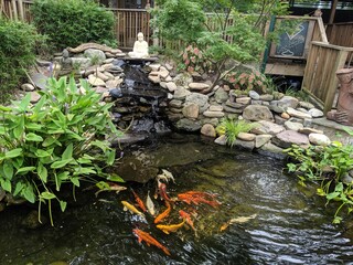 waterfall in a garden