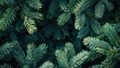 © AkuAku - Colorful background with green fir tree branches from top view for New Year celebration concept