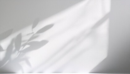 Wall Mural - abstract light and shadow on minimalist white background
