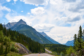 Wall Mural - Beautiful view from a car on the Rocky Mountains in Banff National Park in Alberta. Panorama of a road in the mountains past a coniferous forest on a sunny day in summer.