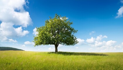 Wall Mural - pear tree on a meadow against a blue sky