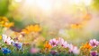© Deven - colorful flower meadow with sunbeams and bokeh lights in summer nature background banner with copy space summer greeting card wildflowers spring concept