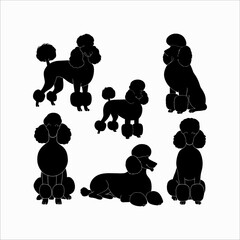 Poodle dog silhouette set animals vector template