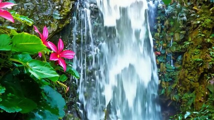 Poster - Colorful pink flowers bloom beside a cascading waterfall surrounded by vibrant greenery in a serene tropical setting.