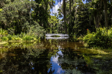 Beautiful wide-angle view of historic white bridge reflecting off lake water surrounded by lowland foliage in Charleston, South Carolina plantation land