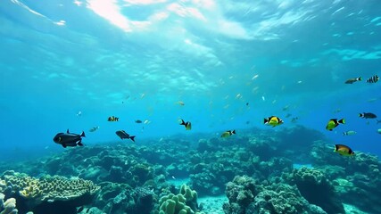 Poster - A school of tropical fish swim over a vibrant coral reef in clear blue water.