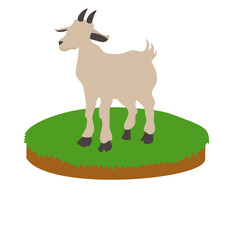 Wall Mural - Goat in the grass vector