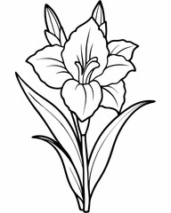 Wall Mural - Line art of Gladiolus flower 