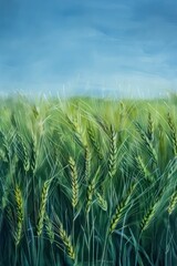 Wall Mural - cereal field of barley landscape