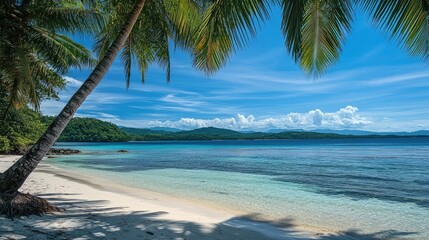 Wall Mural - Tropical beach with palm trees and clear blue water, providing ample space for copy.