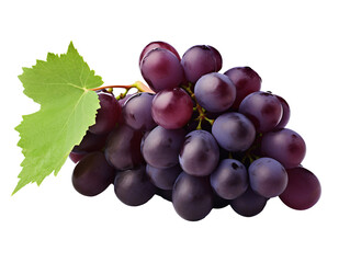 Wall Mural - a bunch of grapes with a leaf