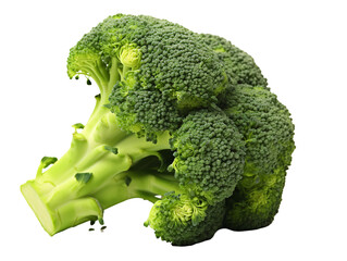 Poster - a head of broccoli on a white surface