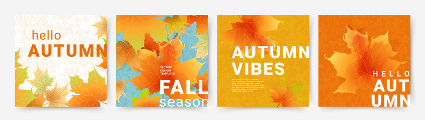 Wall Mural - autumn abstract backgrounds with bright beautiful maple leaves. fall art design templates for card, 