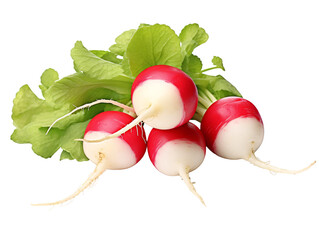 Poster - a group of red and white radishes