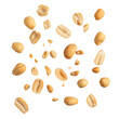 © Vector Nazmul - Tasty and nutritious peanuts isolated on transparent white background, clipping path