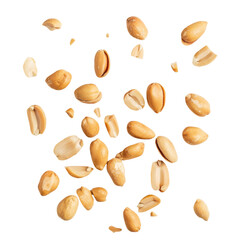 Wall Mural - Tasty and nutritious peanuts isolated on transparent white background, clipping path