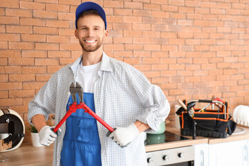 Poster - Male technician with pliers in kitchen