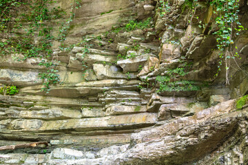 Sticker - Mountain rocks in green vegetation as a background. Texture