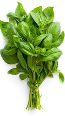 Poster - Vibrant Bunch of Fresh Basil Leaves on White Background with Copy Space