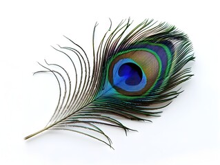 Sticker - Vibrant Peacock Feather on Pristine White Background with Copy Space